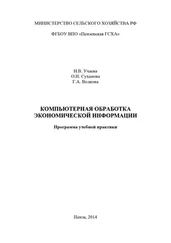 Галина Волкова - Компьютерная обработка экономической информации