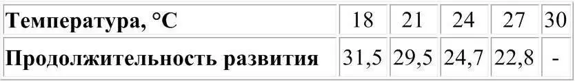 На продолжительность жизни и плодовитость имаго влияют как температура так и - фото 2