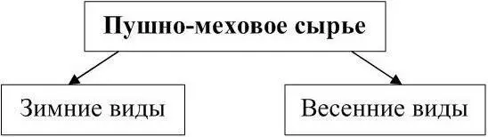 Рисунок 2 Пушномеховое сырье по времени забоя К весенним видам сырья - фото 2