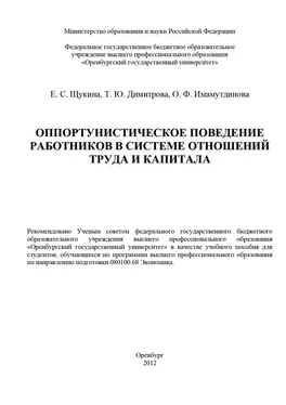 Елизавета Щукина Оппортунистическое поведение работников в системе отношений труда и капитала обложка книги