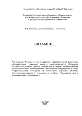 Владимир Канюков Витамины обложка книги