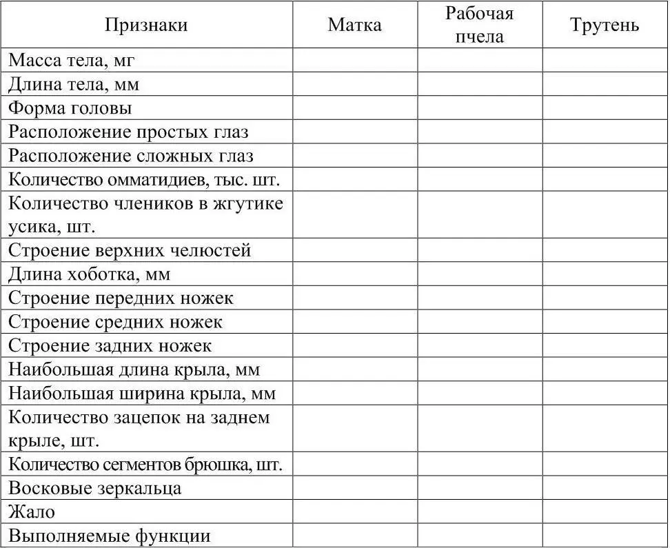 Жало имеется у всех женских особей Последний сегмент брюшка конусообразный - фото 1