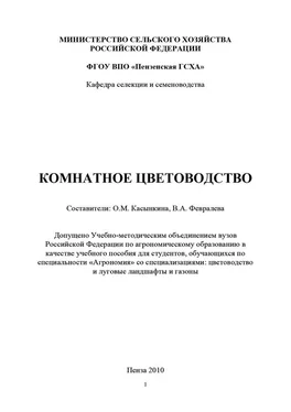 Array Коллектив авторов Комнатное цветоводство обложка книги