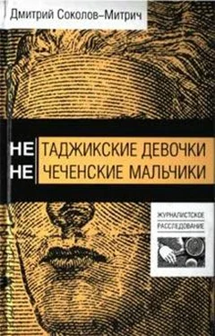 Дмитрий Соколов-Митрич Нетаджикские девочки. Нечеченские мальчики обложка книги