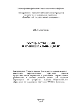 Лейла Мохнаткина Государственный и муниципальный долг обложка книги