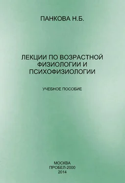 Наталия Панкова Лекции по возрастной физиологии и психофизиологии обложка книги