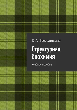 Е. Бессолицына Структурная биохимия обложка книги