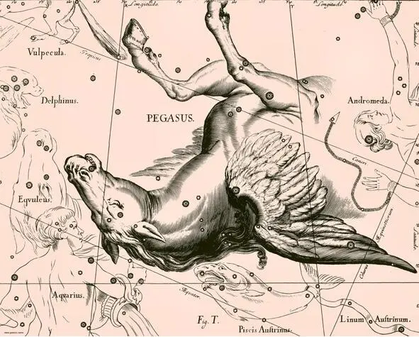 О44 Созвездие Пегас PEGASUS или Крылатый Конь из Атласа Uranographia Яна - фото 4