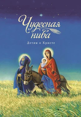 Array Сборник Чудесная нива. Детям о Христе обложка книги