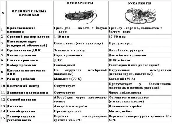 Раздел II Клеточный и молекулярногенетический уровни организации живого - фото 4