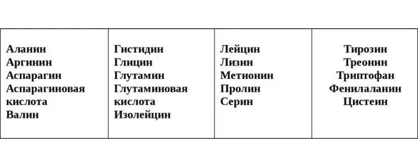 Аминокислоты делятся на две группы 1 Незаменимые аминокислотыне могут - фото 8