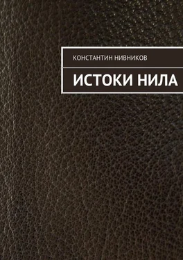 Константин Нивников Истоки Нила обложка книги
