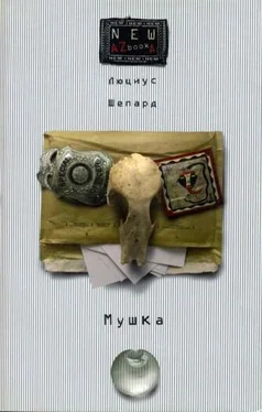 Люциус Шепард Мушка обложка книги