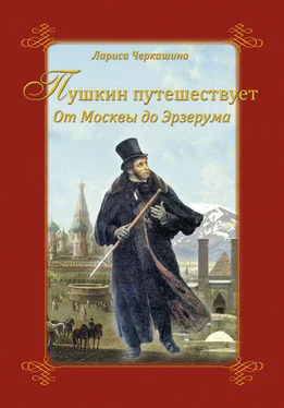 Лариса Черкашина Пушкин путешествует. От Москвы до Эрзерума обложка книги