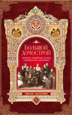 Игумен Митрофан (Гудков) Большой Домострой, или Крепкие семейные устои, освященные Церковью обложка книги