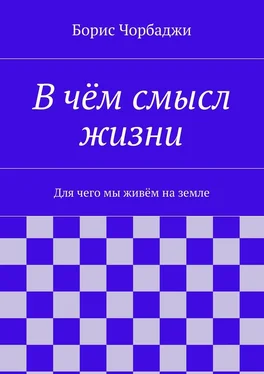 Борис Чорбаджи В чём смысл жизни обложка книги