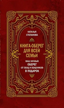 Наталья Степанова Книга-оберег для всей семьи обложка книги