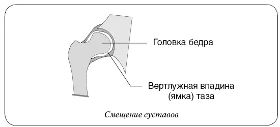 Сустав это уникальный природный механизм подвижного соединения костей Еще из - фото 9