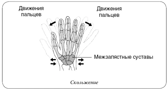 Вращение В некоторых суставах кость может еще и вращаться вдоль своей оси - фото 17