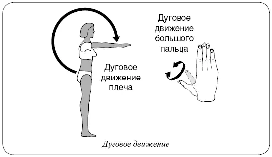 Отведение и приведение Отведение это движение конечности от центральной оси - фото 19
