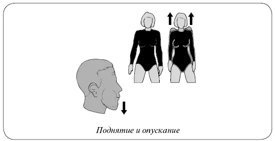 Супинация и пронация Это движение суставов позволяет лучевой кости - фото 24