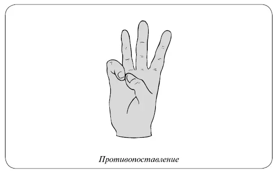 Тыльное и подошвенное сгибание Такое движение способны выполнять только - фото 26