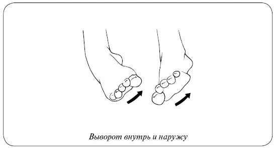 Что держит наши суставы Как же так получается что подвижные соединения - фото 28