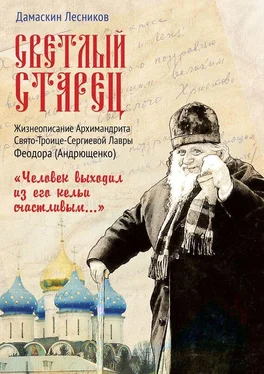 Дамаскин Лесников Светлый старец. «Человек выходил из его кельи счастливым…» обложка книги