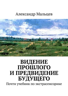 Александр Мальцев Видение прошлого и предвидение будущего обложка книги