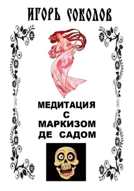 Игорь Соколов Медитация с маркизом де Садом обложка книги