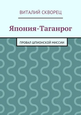 Виталий Скворец Япония-Таганрог обложка книги