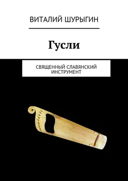 Виталий Шурыгин Гусли обложка книги