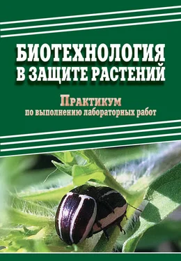 Дмитрий Павлов Биотехнология в защите растений. Практикум по выполнению лабораторных работ обложка книги