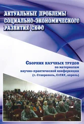 Коллектив авторов - Актуальные проблемы социально-экономического развития СКФО. Сборник научных трудов по материалам научно-практической конференции (г. Ставрополь, СтГАУ, апрель)