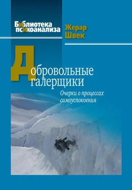 Жерар Швек Добровольные галерщики. Очерки о процессах самоуспокоения обложка книги