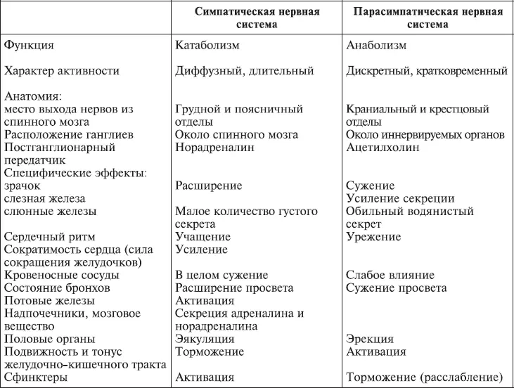 Первичность парасимпатической нервной системы по отношению к симпатической - фото 10