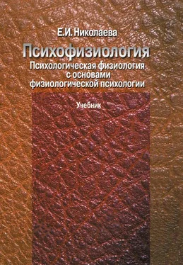 Елена Николаева Психофизиология. Психологическая физиология с основами физиологической психологии. Учебник обложка книги