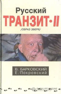 Вячеслав Барковский Русский транзит 2 обложка книги