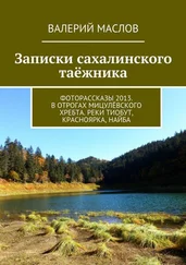 Валерий Маслов - Записки сахалинского таёжника. Фоторассказы 2013. В отрогах Мицулёвского хребта. Реки Тиобут, Красноярка, Найба