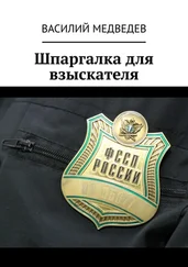 Василий Медведев - Шпаргалка для взыскателя