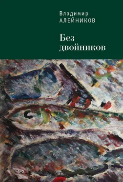 Владимир Алейников Без двойников обложка книги