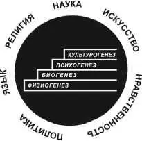 Вот какое определение эволюционной этики даётся в одном из словарей - фото 1