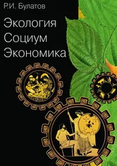 Рамиль Булатов - Экология. Социум. Экономика