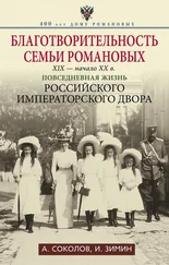 Александр Соколов - Благотворительность семьи Романовых. XIX – начало XX в. Повседневная жизнь Российского императорского двора