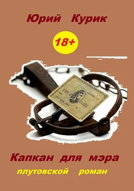 Юрий Курик Капкан для мэра обложка книги