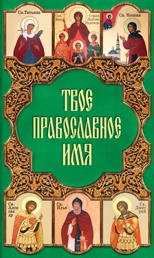Таисия Олейникова Твое православное имя обложка книги