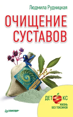 Людмила Рудницкая Очищение суставов обложка книги