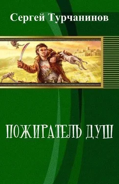 Сергей Турчанинов Пожиратель душ (СИ) обложка книги