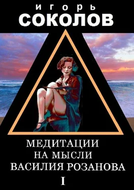 Игорь Соколов Медитации на мысли Василия Розанова. Том 1 обложка книги