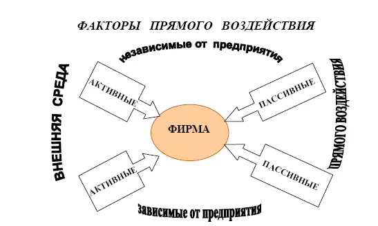 Внешняя среда прямого воздействия это совокупность всех организаций с - фото 3